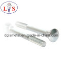 Hexagonal Hexagonal Socket Bolt Carriage Bolt